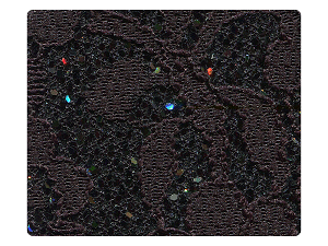 165 Lace Black Scale Fabric Swatch 