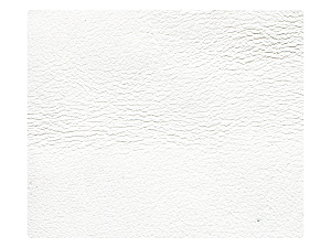 18 White Leather Fabric Swatch 