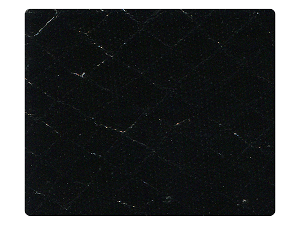 222 Snake Black Fabric Swatch 