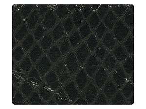 224 Snake Grey Fabric Swatch 