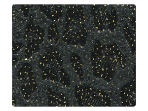 227 Illusion Gold Fabric Swatch 