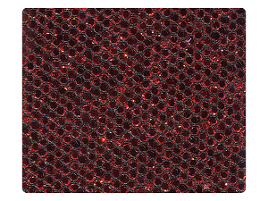 285 Red Scale Fabric Swatch 