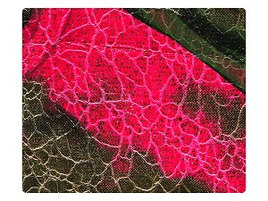289 Gold_Pink PU Fabric Swatch 