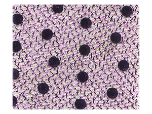 68 Purple Dots Fabric Swatch 