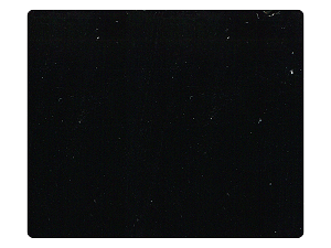 46 Black Patent PU Fabric Swatch 
