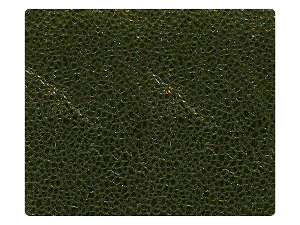 92 Laser Gold_Black Fabric 