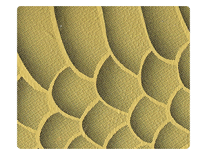 182 Gold Python PU Fabric Swatch 