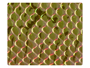 186 Snake Champagne PU Fabric Swatch 