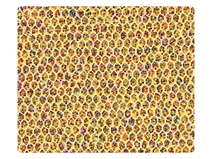 35 Gold Scale Fabric Swatch 