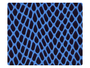 36 Blue Snake PU Fabric Swatch 