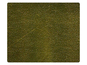 62 Gold PU Fabric Swatch 