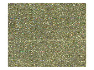 191 Light Gold PU Fabric Swatch 