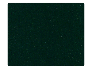 222 Pearl Green Patent Fabric Swatch 