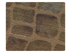 239 Lizards Print Fabric Swatch 