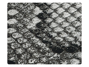 243 Black Snake PU Fabric Swatch 