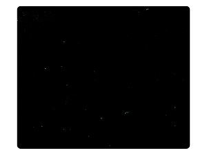 75 Black Patent PU Fabric Swatch 